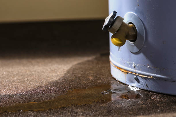 Professional Water damage restoration in Mulberry, AR