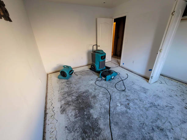 Best Flood damage cleanup  in Mulberry, AR