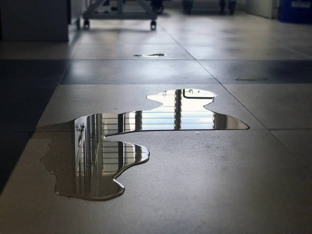 Best Water damage repair service  in Mulberry, AR