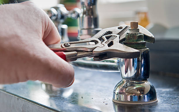 Best Local water damage restoration  in Mulberry, AR