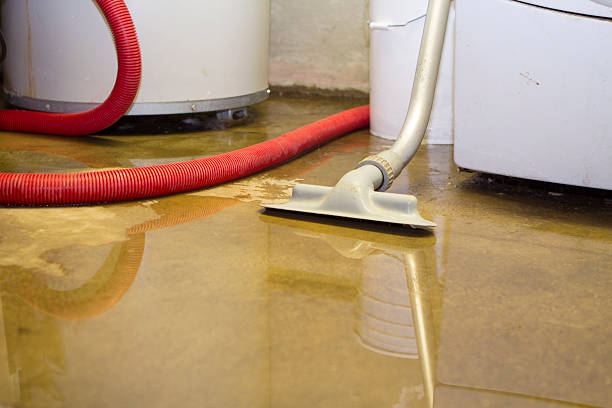 Water damage restoration insurance claims in Mulberry, AR