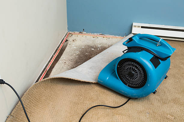 Best Flooded house restoration  in Mulberry, AR